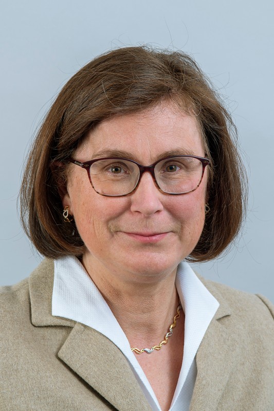 Prof. Dr.  Aude Gehrmann-De Ridder